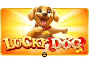Video Slots – ဗီဒီယိုစလော့ဂိမ်းများ